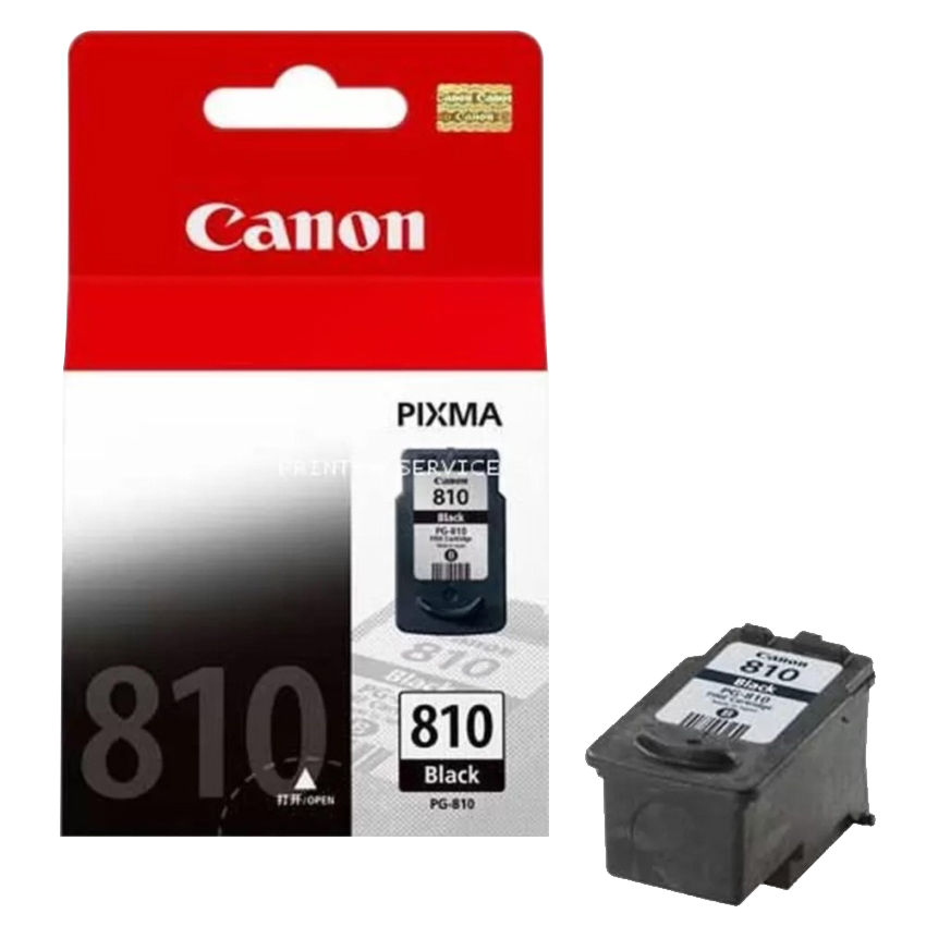 Canon PG 810 Bk Black Ink Cartridge